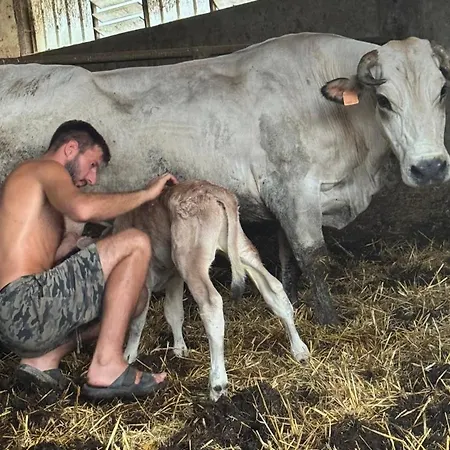 Gospodarstwo agroturystyczne Ospitalita Rurale Familiare Cascina Pollano Moretta