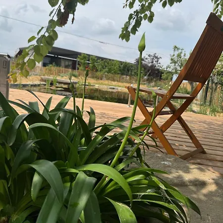 مزرعة للإقامة Ospitalita Rurale Familiare Cascina Pollano Moretta